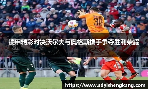 德甲精彩对决沃尔夫与奥格斯携手争夺胜利荣耀